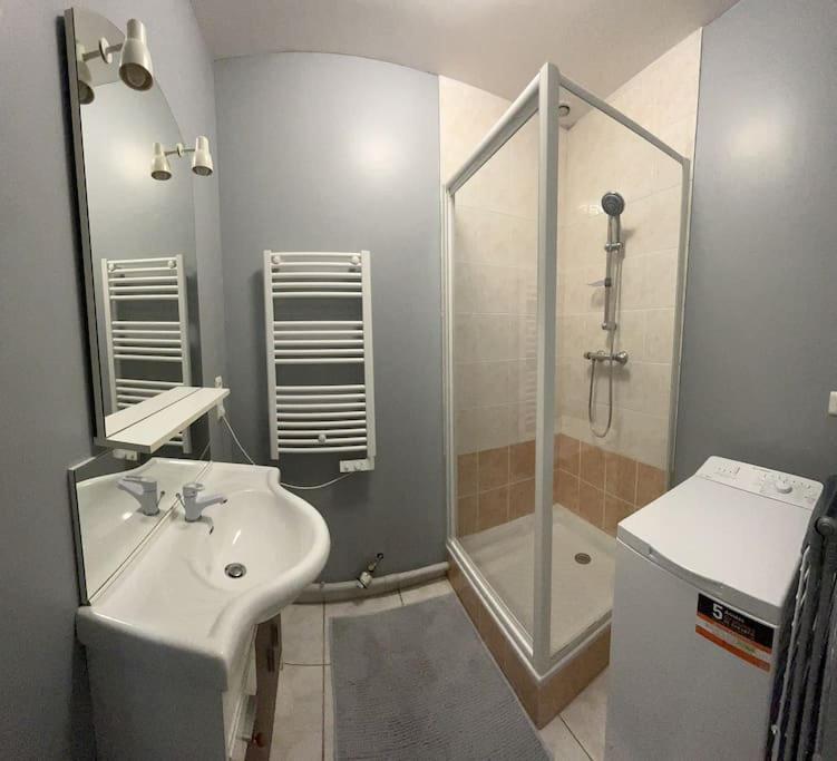 Appartement 1 Chambre Rue Faubourg De Besancon Montbéliard Buitenkant foto